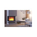 Каминная топка Hitze TRINITY TRI80X35X53 Каминная топка Hitze TRINITY TRI80X35X53